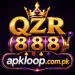 QZR888 Game Logo